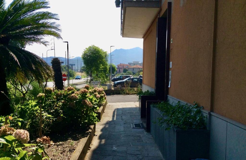 Výhľad na hory alebo výhľad na hory priamo z apartmánu