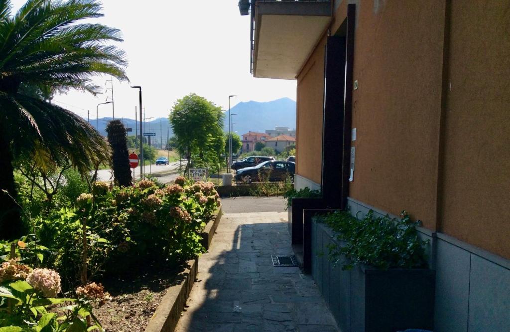 un trottoir à côté d'un bâtiment avec un palmier dans l'établissement Casa Bonelli, à Sestri Levante
