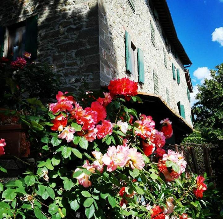 レッジェッロにあるPodere I Rovai-apt IL RIFUGIO- in the heart of Tuscanyの建物前の花の茂み
