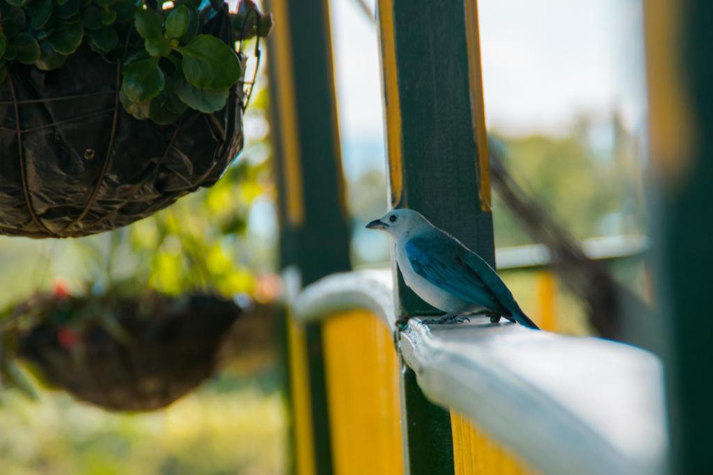 Fotografie z fotogalerie ubytování Finca Hotel el Palmar v destinaci Montenegro