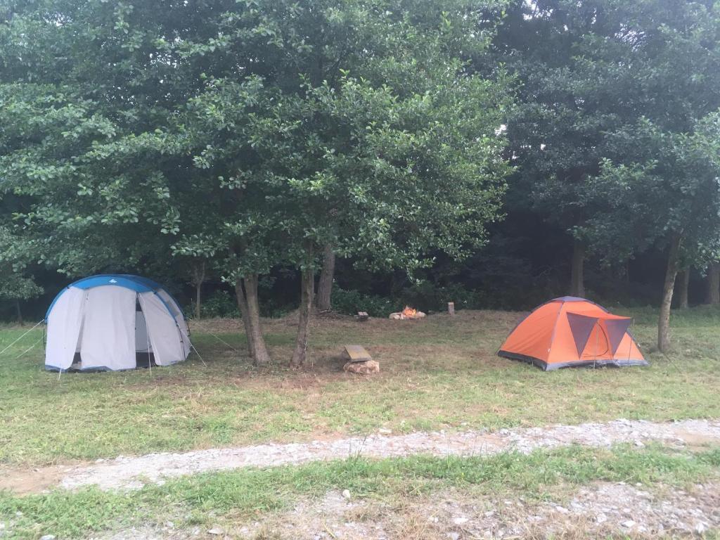 Camping Zamolxe (România Sarmizegetusa) - Booking.com