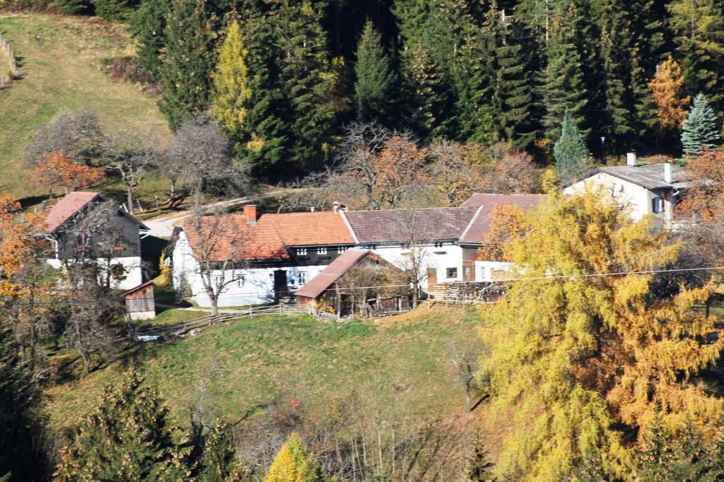 Příroda nedaleko prázdninového domu
