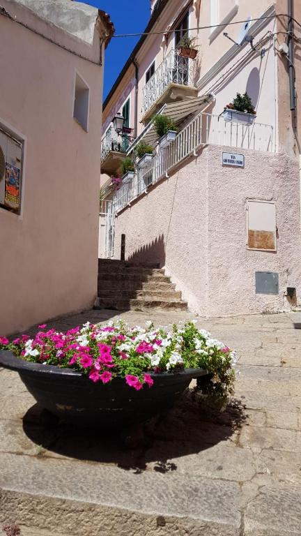 a large planter with flowers in front of a building at Monolocale II La Maddalena in La Maddalena
