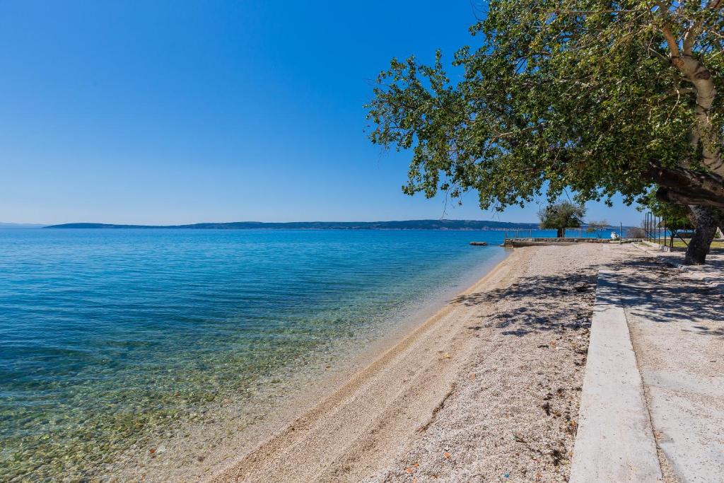 Príroda v okolí apartmánu