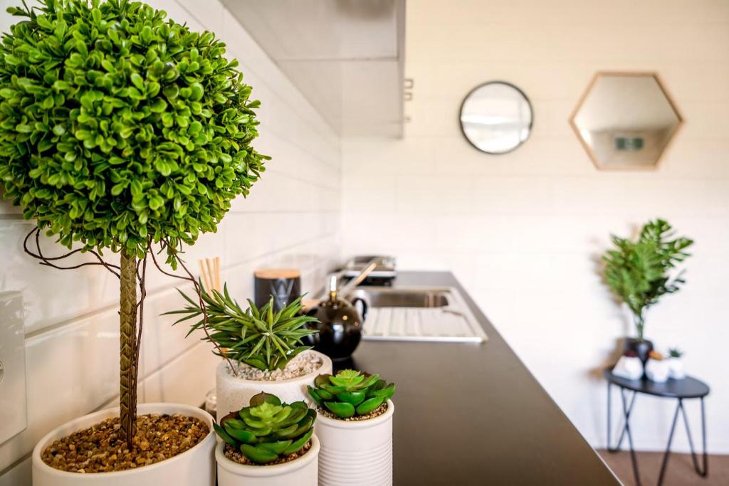 Otematata的住宿－Waitaki Lakes Apartments - Otematata，柜台上的厨房,有三盆植物