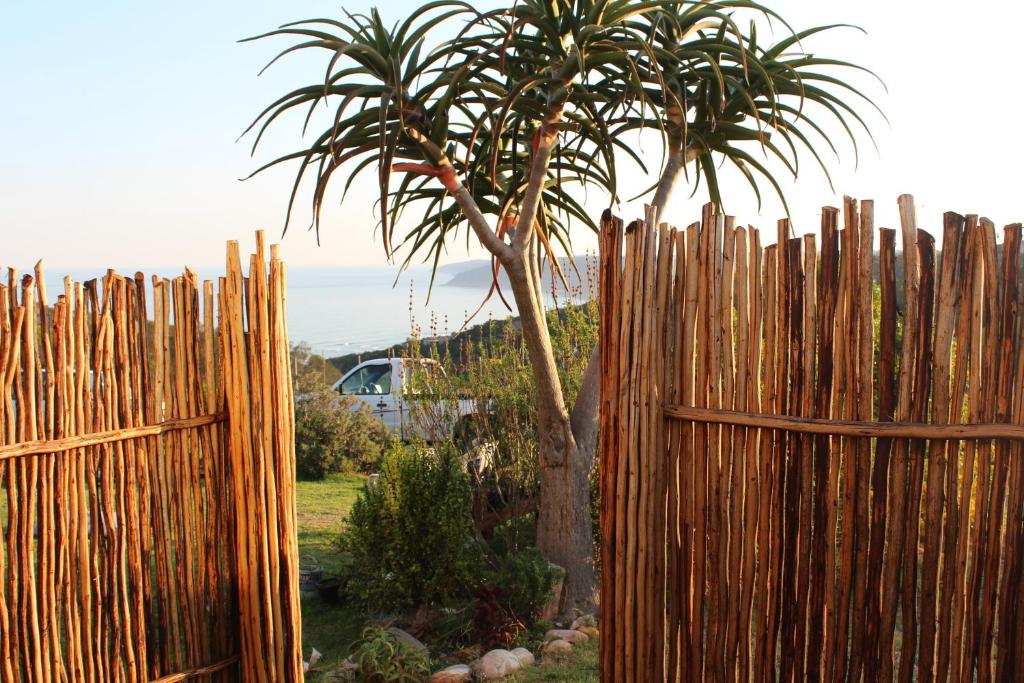 a wooden fence with a palm tree behind it at The Wild Farm Backpackers in Wilderness
