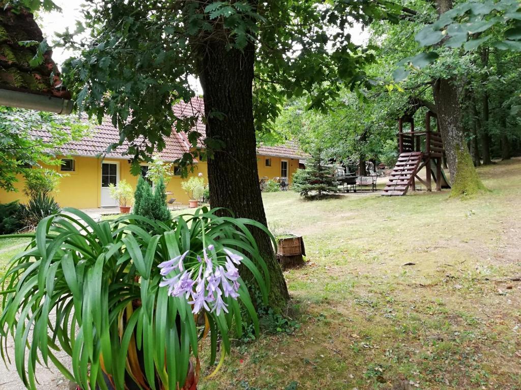 Vonkajšia záhrada v ubytovaní Mohás Vendégház Kőszeg Mohás út 107