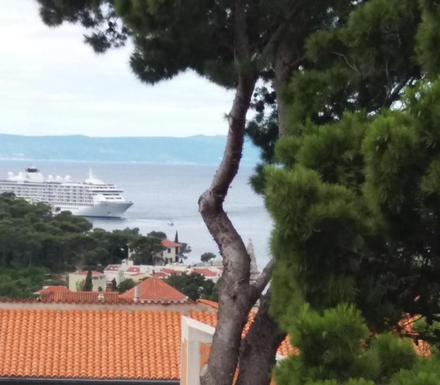 Príroda v okolí apartmánu