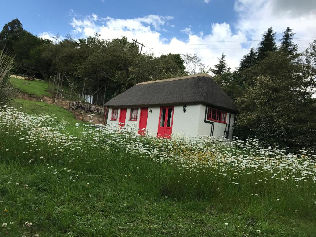 a small house with red doors in a field of flowers at A Boat House in Nottingham Road