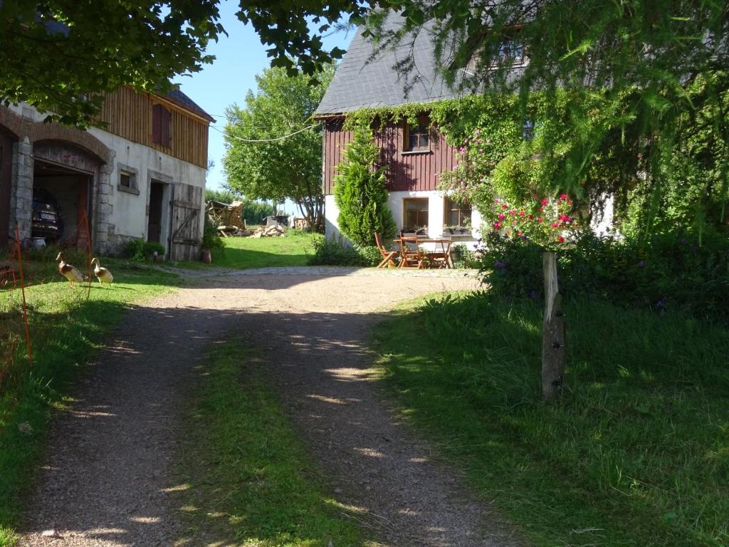 un camino de tierra que conduce a un granero con una mesa y un perro en Urselhof, en Hermsdorf