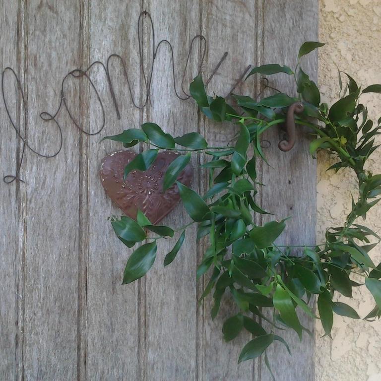 a plant on a wall with a sign that readsfaith at Les Hotes Des Guillemets in Laglorieuse
