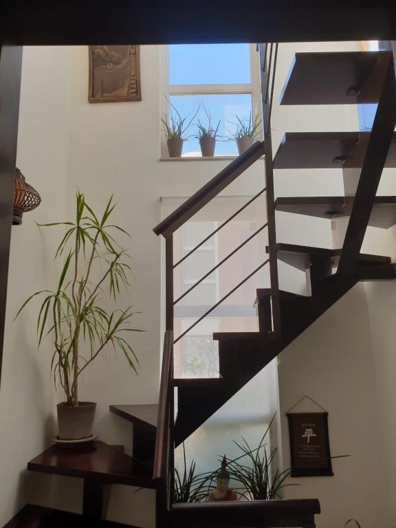 Zdjęcie z galerii obiektu Banyan Cotobro w Almuñécar