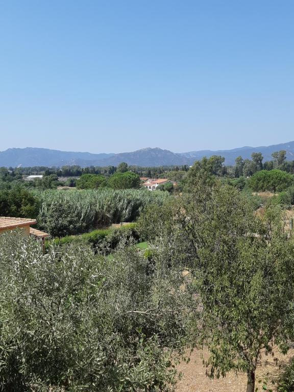 Sa Caladroxa
