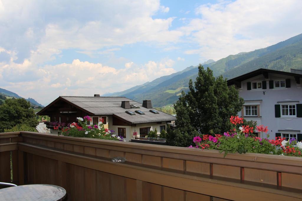 Nespecifikovaný výhled na hory nebo výhled na hory při pohledu z hotelu