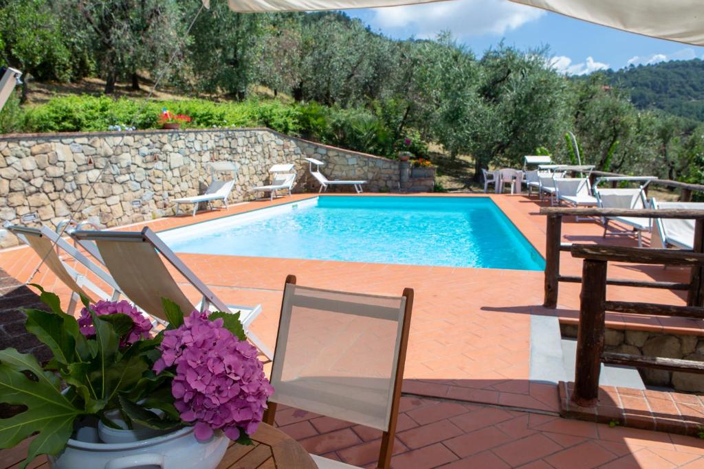 Villa Rachele في Larciano: حمام سباحة مع مجموعة من الكراسي والورود الأرجوانية