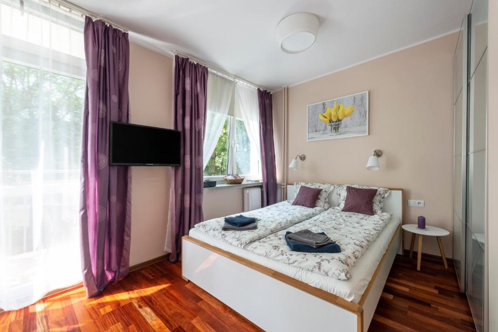 a bedroom with a bed and a tv and a window at Przytulny Apartament przy Teatrze Wielkim in Warsaw