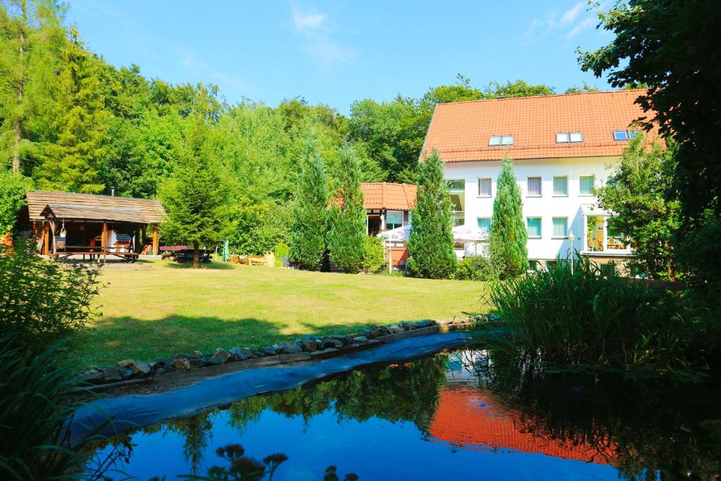 Příroda nedaleko hotelu