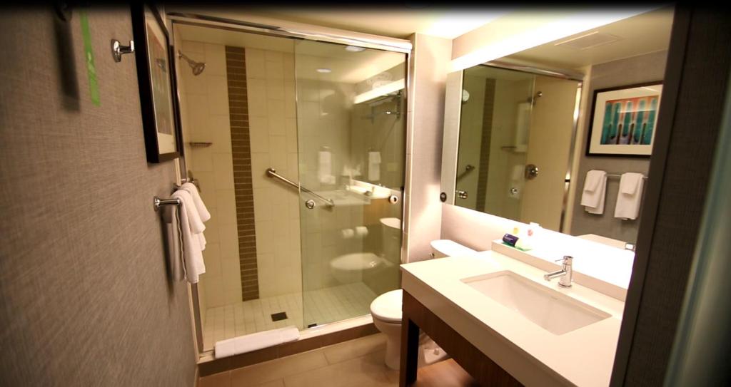 Hyatt Place DFW - Salle Royale Avec Canapé-lit Et Baignoire Accessible - Accès Pour Handicap