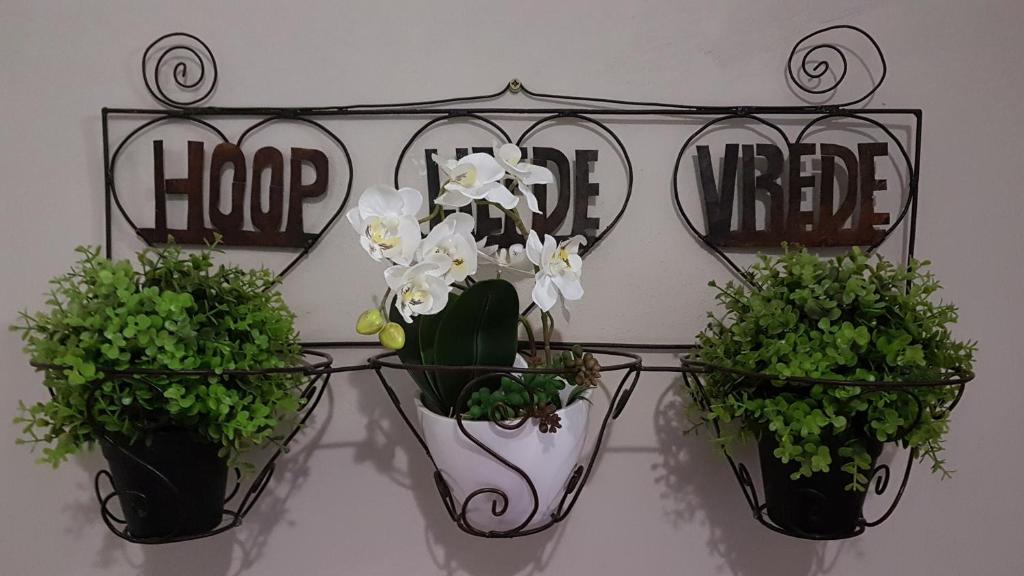 Private Apartments & Biz Stays Pretoria - Apartment With Pool View