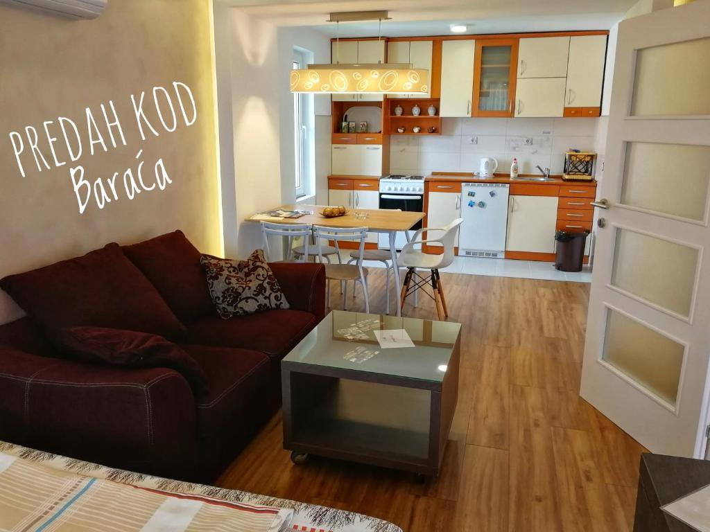 Kuchyň nebo kuchyňský kout v ubytování Apartments "Predah kod Baraća"