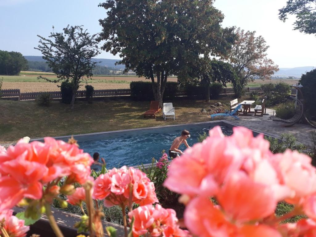 a man swimming in a swimming pool with pink flowers at Vermieterei in Oberwölbling