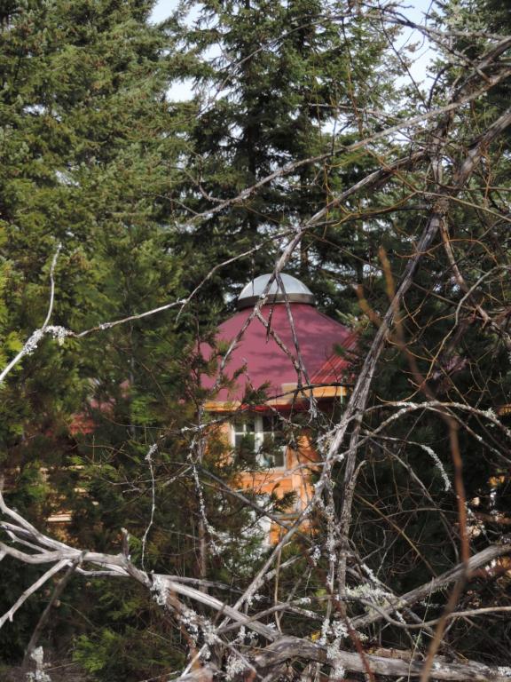 une maison avec un toit rouge à travers les arbres dans l'établissement The Yurt at Rivendell, à White Salmon