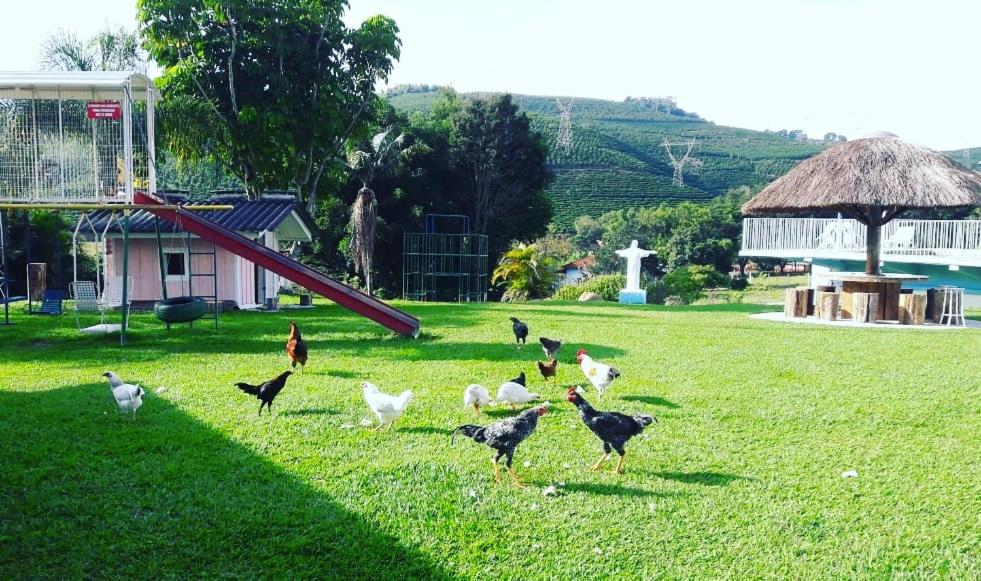  Pousada Primavera da Serra