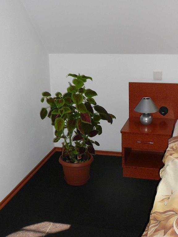 Fotografie z fotogalerie ubytování Penzion Praktik Krumlov v destinaci Přísečná