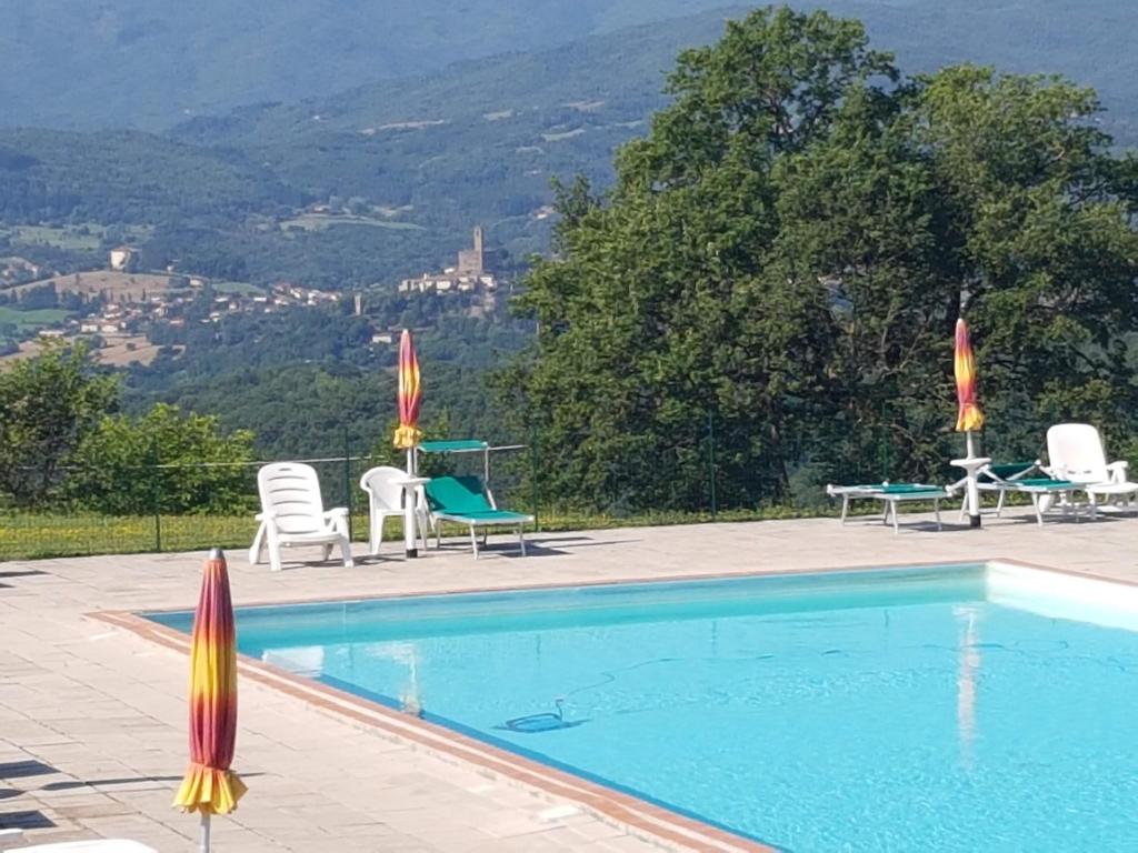 uma piscina com cadeiras e uma mesa em Fattoria di Belvedere em Poppi