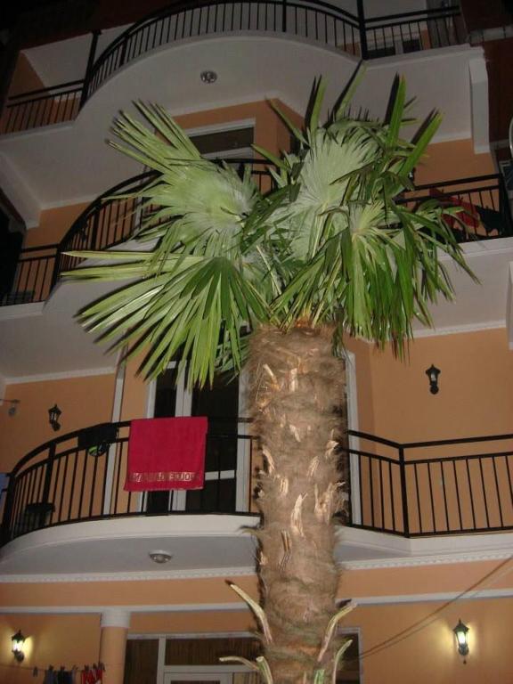 Fotografie z fotogalerie ubytování Hotel Resanda v destinaci Kobuleti