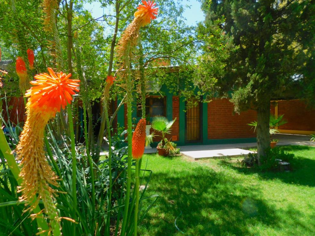 a garden with orange flowers in front of a house at Cabañas Mirmar Mendoza in Mendoza