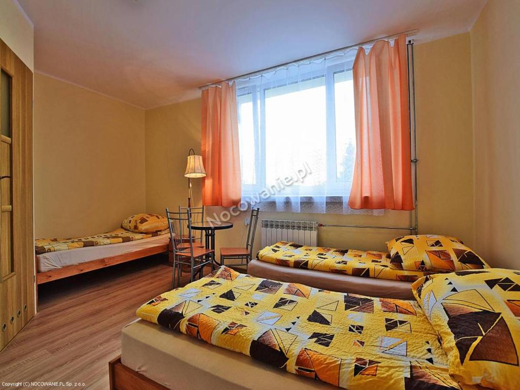 Dom Turysty SALUS - 13