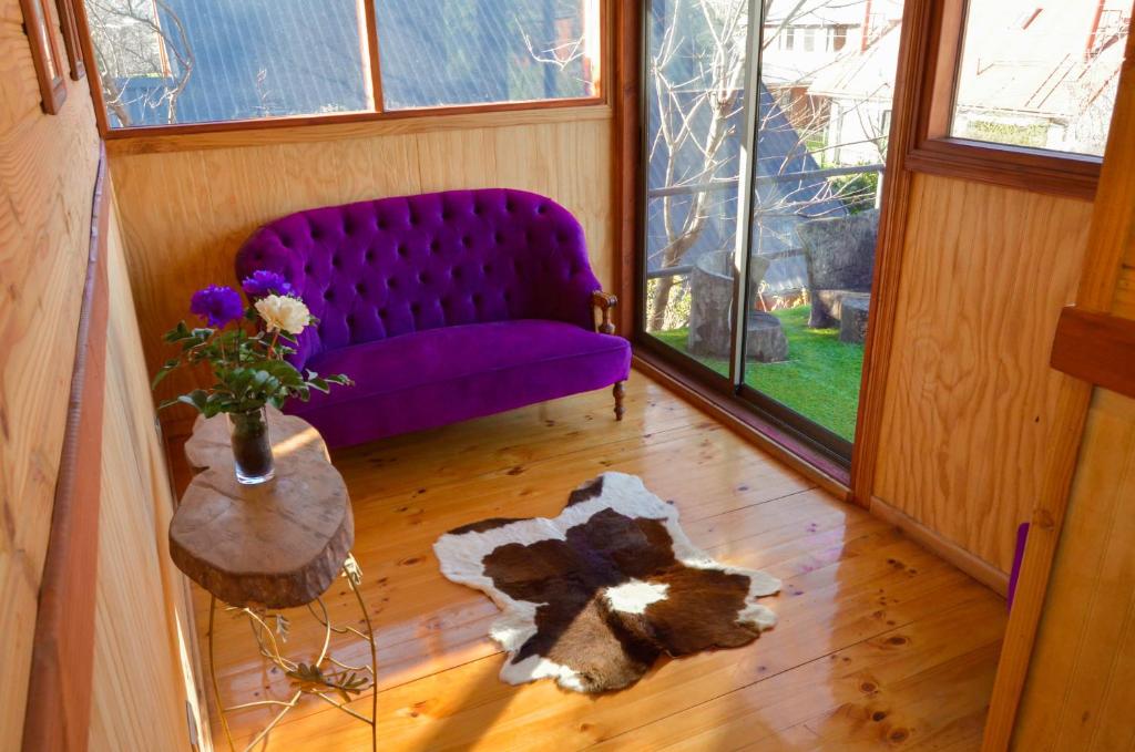 Domácí mazlíčci ubytovaní s hosty v ubytování Hostal Pucon Sur