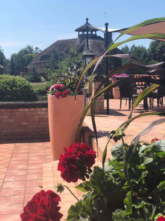 Zahrada ubytování Villa Audruvis