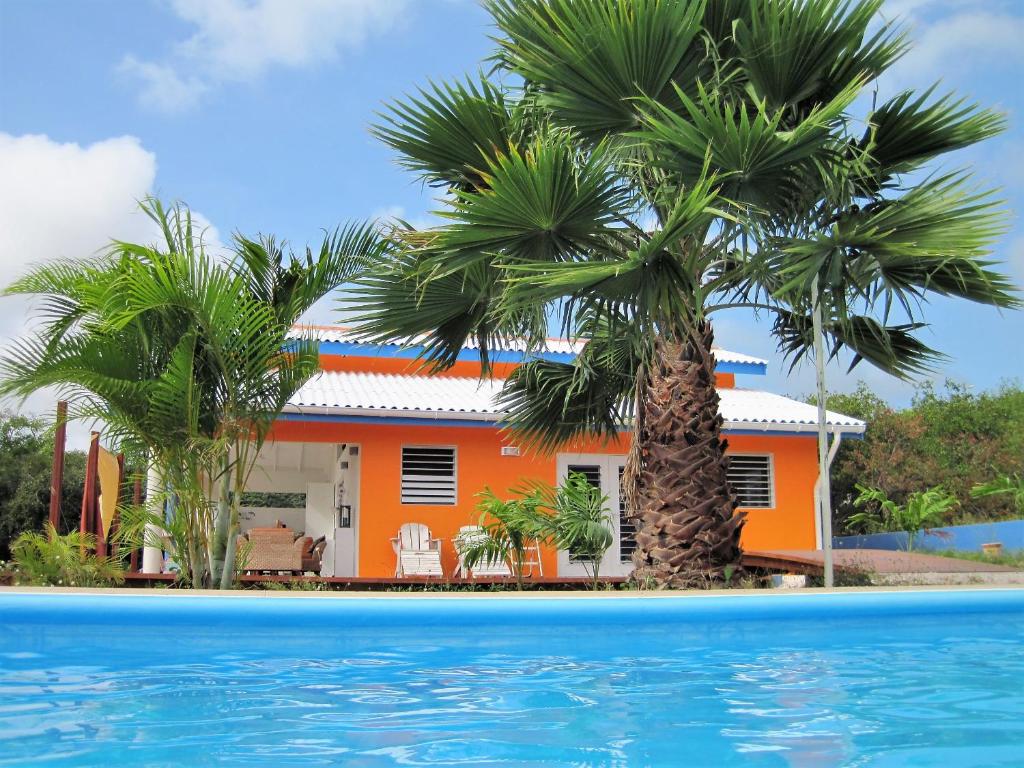 a house with a palm tree and a swimming pool at Don Genaro Apartments in Barber