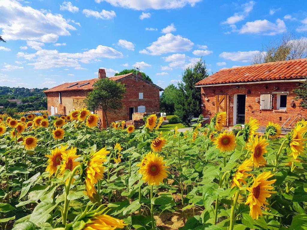 un campo di girasoli di fronte a un edificio di Les Hauts de Sames a Deyme