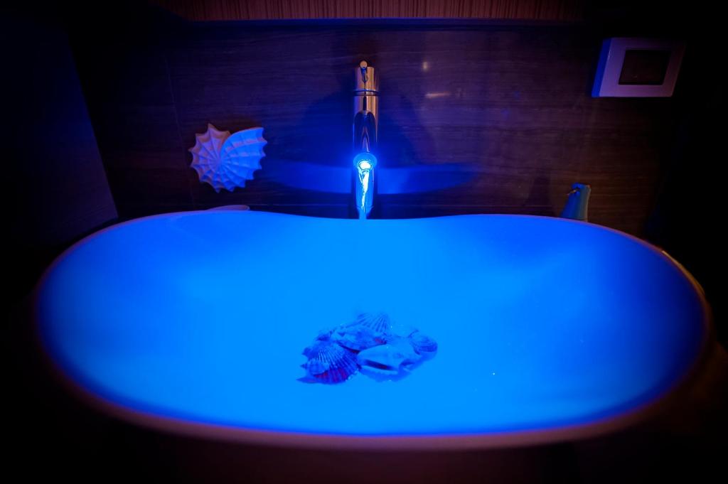 Guest House Golden Goose - 10