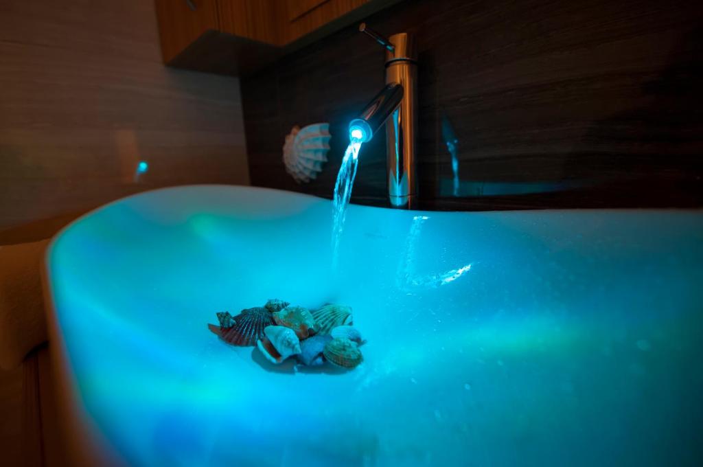 Guest House Golden Goose - 9