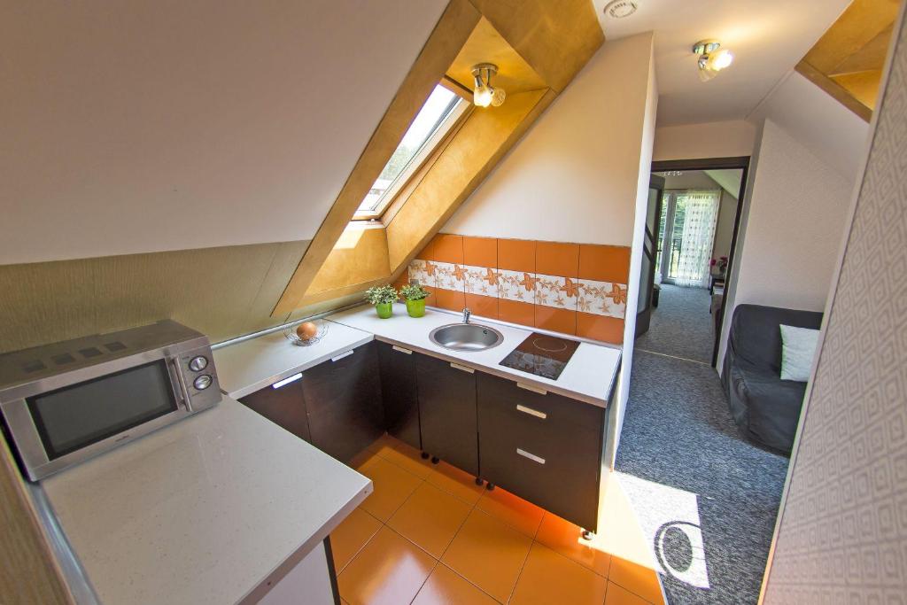 Kuchyňa alebo kuchynka v ubytovaní Apartamenty Grapa szum rzeki parking free