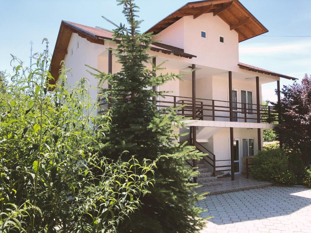 a house with a tree in front of it at Guest House LETO in Dolinka