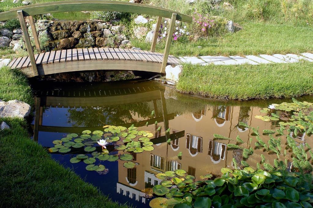 Zahrada ubytování Villa Las Tronas Hotel & SPA