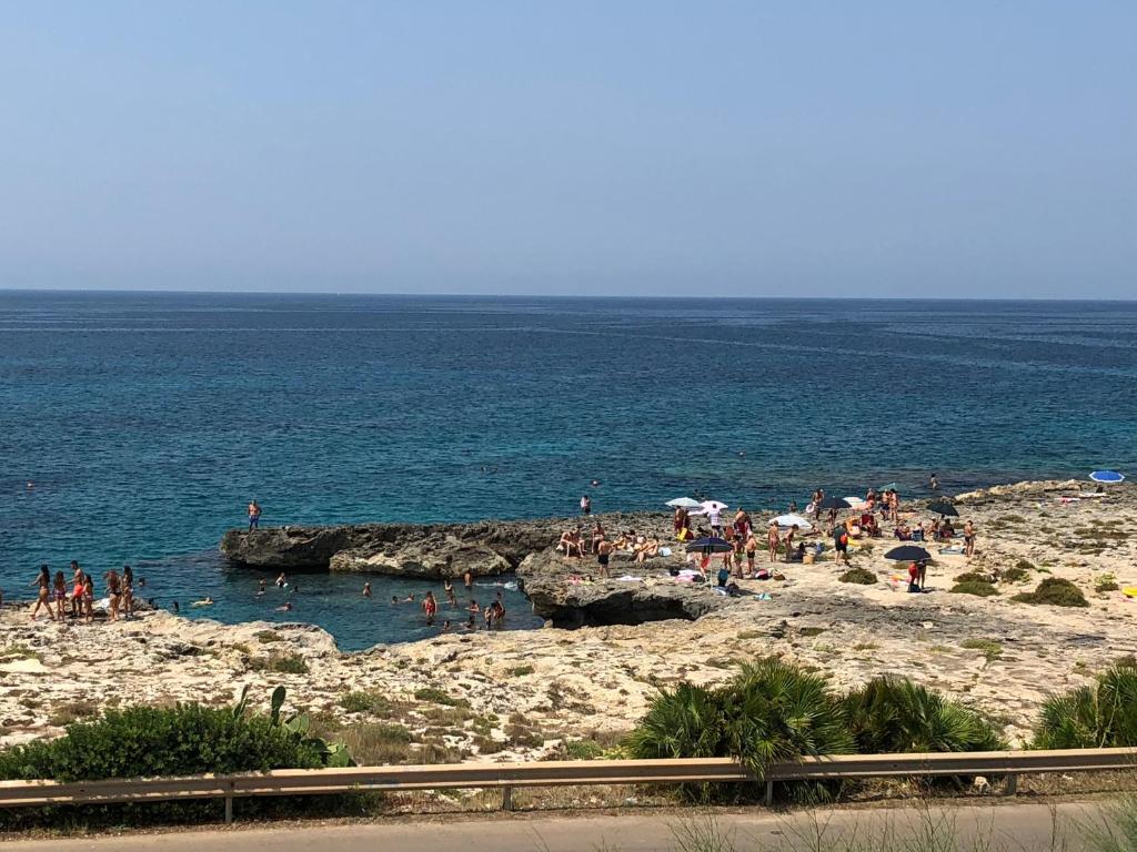 Táj Show holiday homes közelében