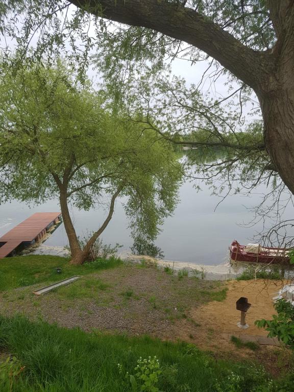 ein Baum, der neben einem Wasserkörper sitzt in der Unterkunft Ferienwohnungen und Zimmer in Nordhausen in Nordhausen