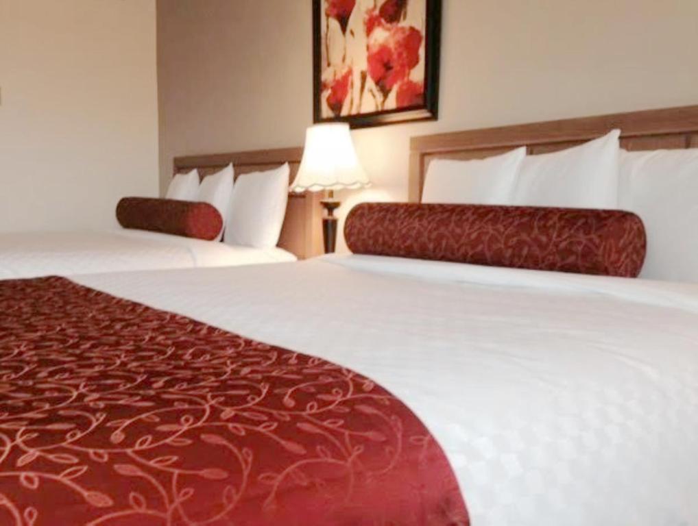 Auberge du Grand Lac - Sala Regina Deluxe