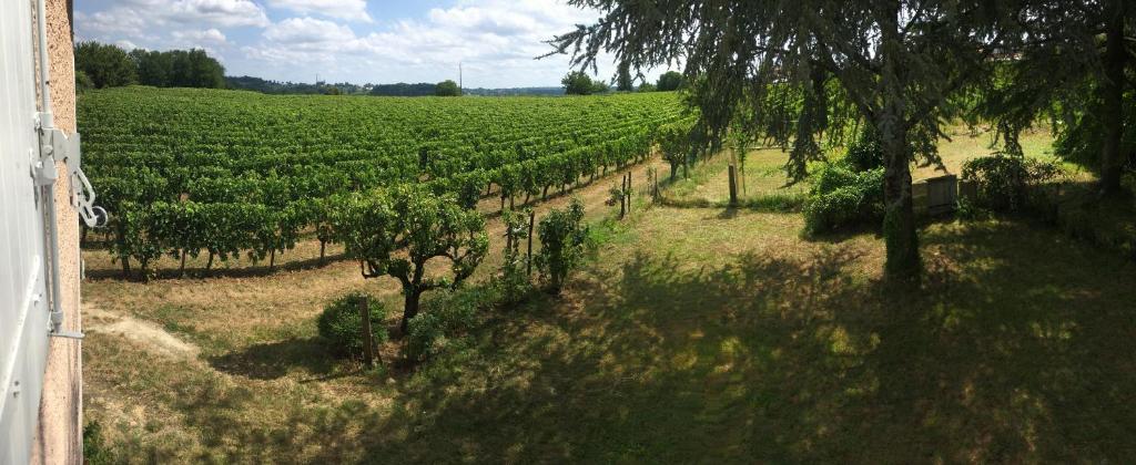 Mirande Montagne-Saint Emilion - Appartamento