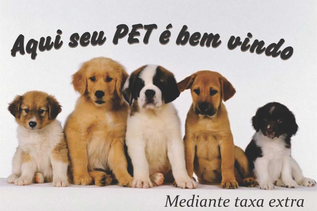  Chalé da Montanha