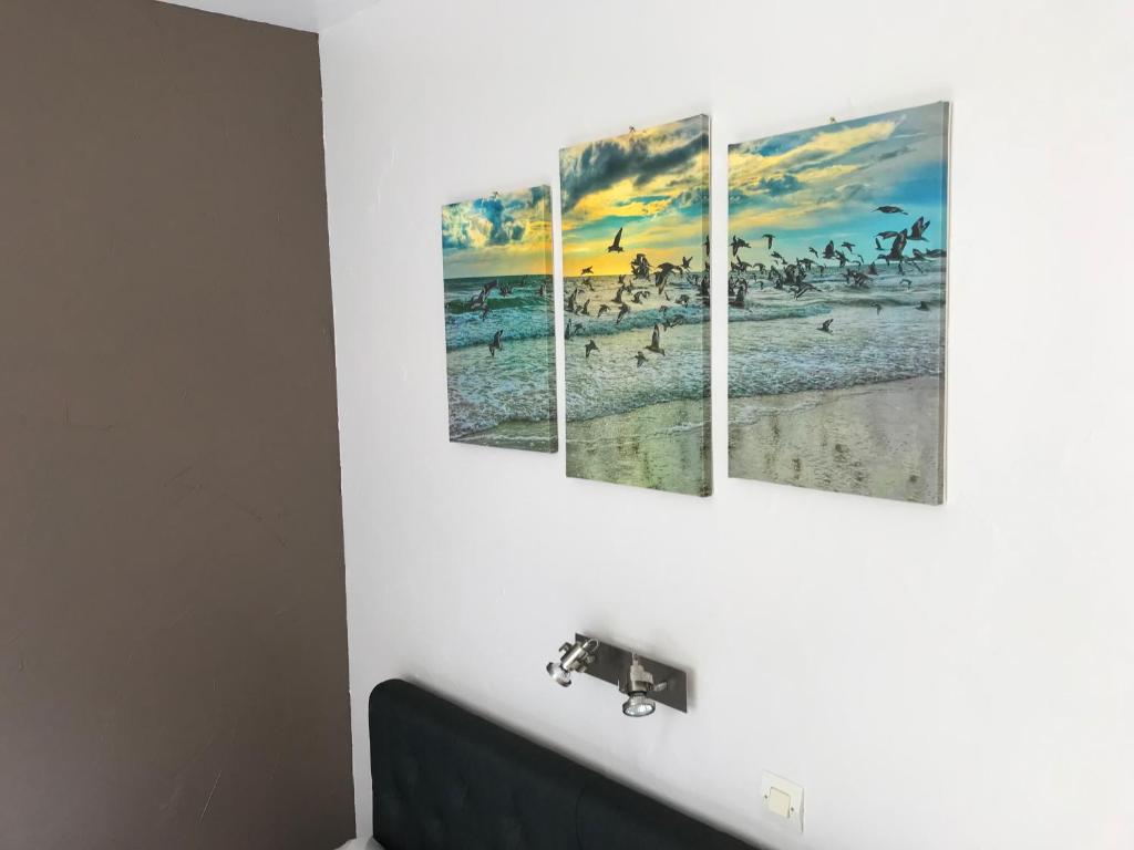 four paintings hanging on a wall in a bathroom at Lumineux T2 Vieille ville 3 pers parking gratuit - by La Source d&#39;OrFée in Boulogne-sur-Mer
