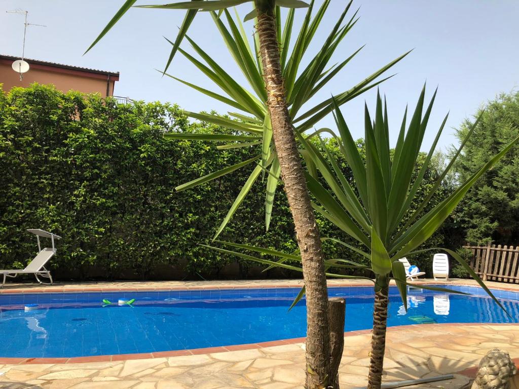 un palmier à côté d'une piscine dans l'établissement Il Giardino di Tolù Siracusa, à Città Giardino