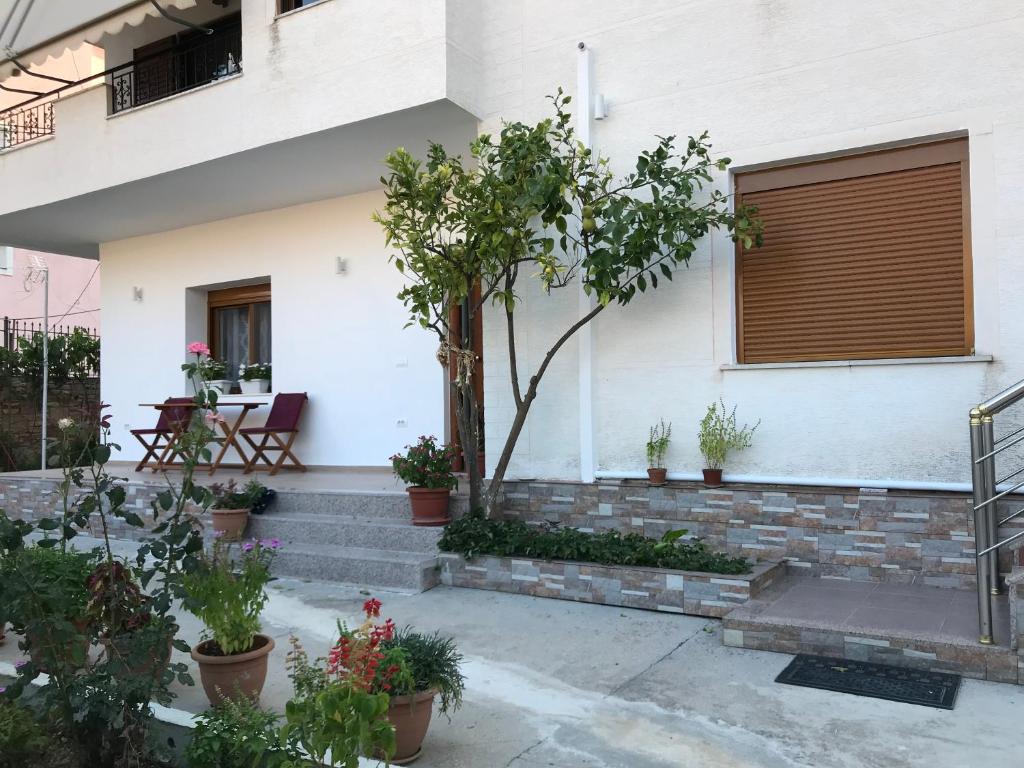 a house with a bunch of plants in front of it at Vila Alikaj in Sarandë