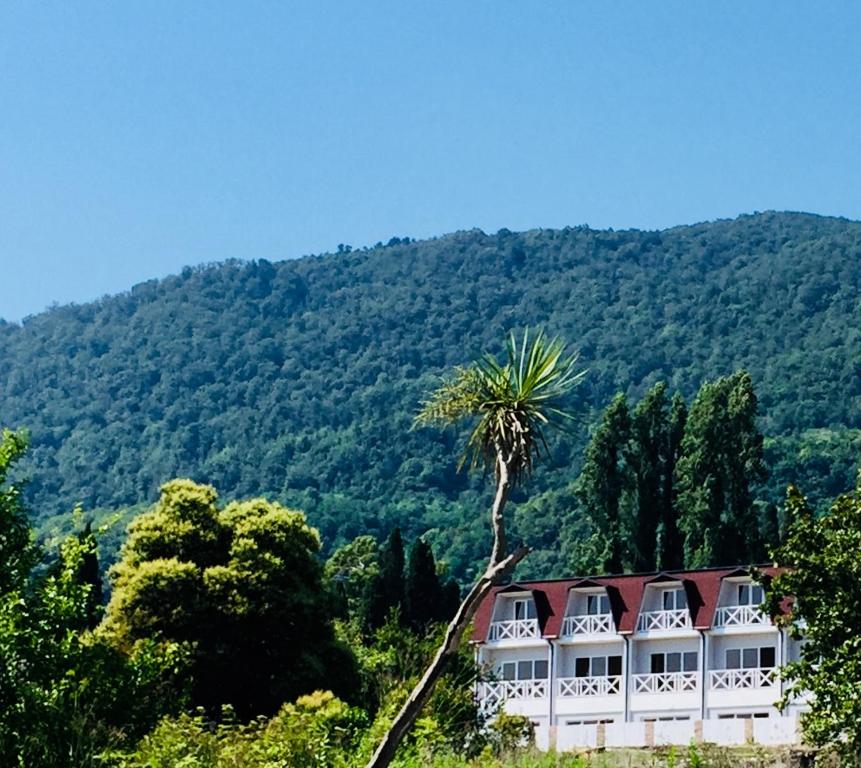 a building with a palm tree in front of a mountain at Palm Hotel in Novy Afon